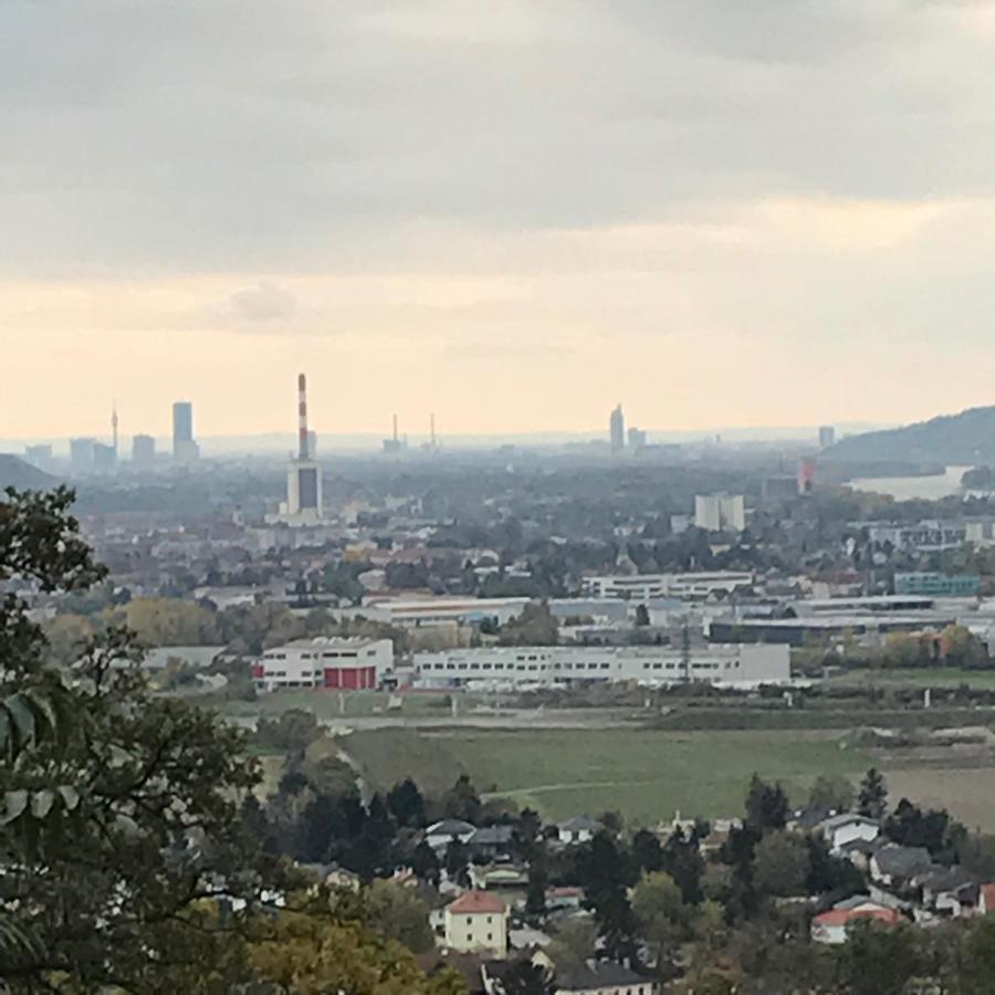 Lg Tiny Appartamento Korneuburg Esterno foto